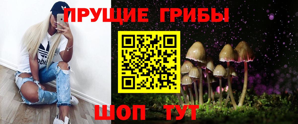 Псилоцибиновые грибы Cubensis  Галлюциногенные грибы Psilocybine cubensis  Азов  Вход с VPN 